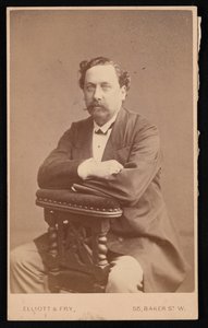 David Forbes portréja 1828-1876, 1874. alkotó: Elliott and Fry