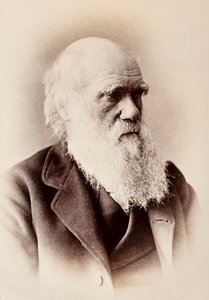 Charles Darwin: angol természettudós