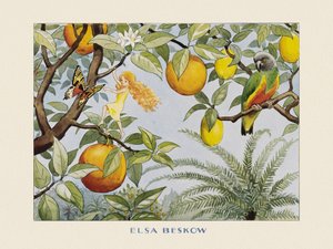 Solägget  Sollandet alkotó: Elsa Beskow