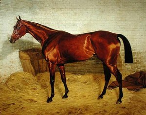 „Lonely”, az 1885-ös Derby győztese