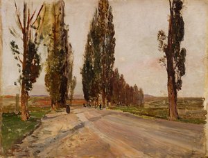 Boulevard of nyárfa Plankenberg közelében, kb. 1890