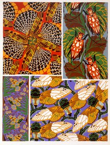 Rovar motívumú design
