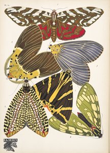 14. tábla, Butterflies, kocsma. 1925 (sablonnyomat) alkotó: Émile Allain Séguy