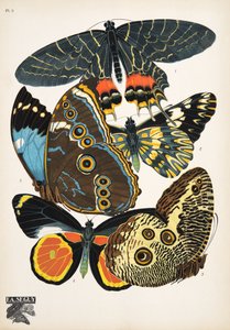 2. tábla, Butterflies, kocsma. 1925 (sablonnyomat)