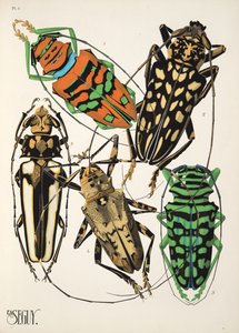 4. tábla az Insectes-től, kocsma. 1930-as évek (pochoir print) alkotó: Émile Allain Séguy