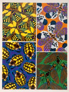 Rovar motívumú design