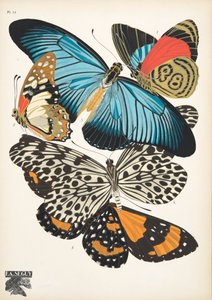 11. tábla, Butterflies, kocsma. 1925 (sablonnyomat)