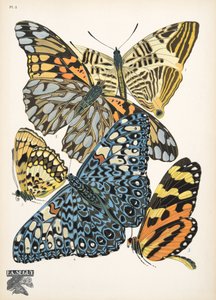 3. tábla, Butterflies, kocsma. 1925 (sablonnyomat) alkotó: Émile Allain Séguy