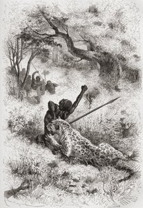 Egy afrikait támadó leopárd, illusztráció a „The World in the Hands” című könyvből, Henri Theophile Hildibrand (1824-97) metszetében, 1878-ban alkotó: Emile Antoine Bayard