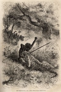 Egy leopárd ráugrik egy emberre, és kegyetlenül a hátára harapja, Bambare (Kongó) környékén, Emile Bayard rajza után metszett, David Livingstone utolsó naplóját (1813-1873) illusztrálva, 1866-1873-ban, megjelent a „ „Le tour du monde”” 1875, szerk alkotó: Emile Antoine Bayard