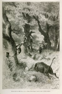 Az expedíció lejárata egy bivaly rohama előtt, Emile Bayard rajza a történet illusztrálására: Afrika szerte, Zanzibártól (Tanzánia) Bengueláig (Angola), 1872-től 1876-ig, V. H. Cameron hadnagy. Gravírozás a Le tour du monde-ban alkotó: Emile Antoine Bayard