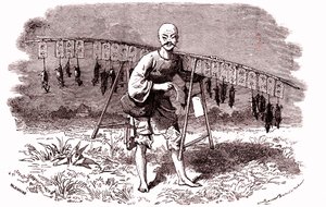 Patkánygyilkos Kínában. 1874 (metszet) alkotó: Emile Antoine Bayard