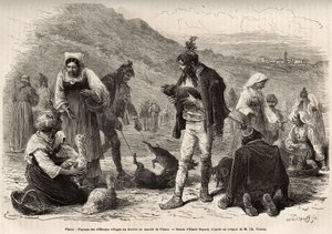 Pisino (Horvátország) környéki parasztok összegyűlnek, hogy a piacon árusítsák mezőgazdasági termékeiket: baromfit, malacot..., Emile Bayard 1874-es isztriai és dalmáciai utazását illusztráló rajza nyomán, Charles tollából. Yriarte, tedd közzé alkotó: Emile Antoine Bayard