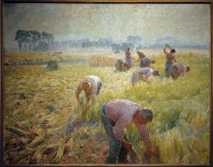 La collolte du linen Emile Claus (1849-1924) festménye 1904 V. 1,56 X 2,01 m Brüsszel, Királyi Szépművészeti Múzeum alkotó: Emile Claus