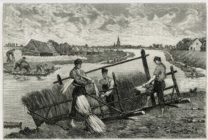 A len rozsdája (macerálás, hogy megkönnyítse a kéreg és a szár elválasztását) a Lys-ben (Franciaországtól és Belgiumtól északra fekvő folyó). Emile Claus metszete a „La Belgique” történet illusztrálására, Camille Lemonnier (1844) -1913), író és művészeti k alkotó: Emile Claus