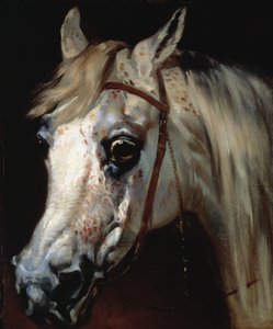 Egy arab ló feje, 1840-50 körül (olaj, vászon) alkotó: Emile Jean Horace Vernet