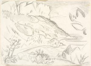 Cap Canaille ved Cassis. alkotó: Emile Othon Friesz