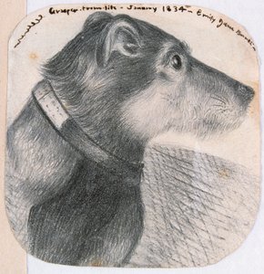 Grasper, az életből alkotó: Emily Bronte