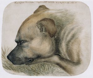 Őrző - az életből, 1838 (ceruza és WC papíron) alkotó: Emily Bronte