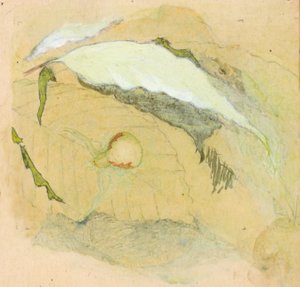 Porcelán-fehér pók alkotó: Emma Beach Thayer