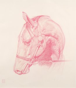 Portré fej, 2010 (vörös kréta, papír)