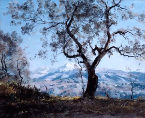 Menton környéke, Roquebrune közelében, 1892