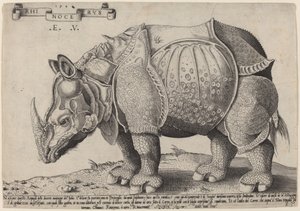 Orrszarvú alkotó: Enea Vico after Albrecht Dürer