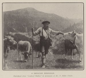 Egy bresciai pásztor
