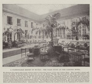 Napjaink divatos üdülőhelye, a Palm Court a Carlton Hotelben alkotó: English Photographer