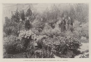A béke kikötője, a bloemfonteini kolostorkert, amelyet kórházként használnak alkotó: English Photographer
