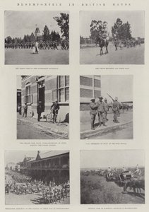 Bloemfontein brit kézben