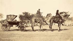 Tevekocsi, 1860 körül (fénynyomat) alkotó: English Photographer