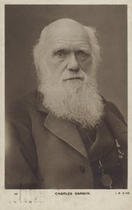 Charles Darwin (1809-1882), angol természettudós alkotó: English Photographer