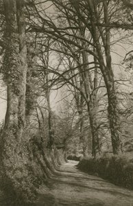 Cockington Lane, Devonshire, Torquay közelében alkotó: English Photographer