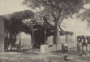 Kávéház a Matariyeh-i Szűz kertjében, ahol József élt alkotó: English Photographer