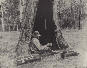 Le a szerencsén alkotó: English Photographer