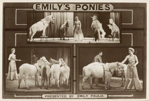 Emily Paulo és fellépő idomított pónik (f/w fotó) alkotó: English Photographer