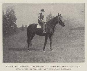 Az Endurance-by-Right, az Egyesült Államok 1901-es legnagyobb kancsója, Whitney úr vásárolta meg 40 000 dollárért alkotó: English Photographer