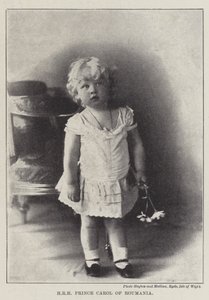 HRH Carol romániai herceg alkotó: English Photographer