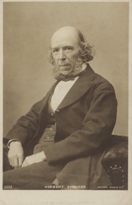 Herbert Spencer (1820-1903) angol filozófus, politikai teoretikus, biológus és szociológus alkotó: English Photographer
