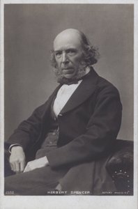 Herbert Spencer (fekete-fehér fotó) alkotó: English Photographer