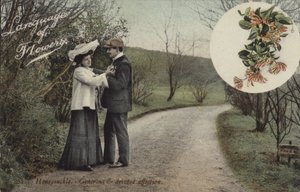 Lonc – Nagylelkű és odaadó vonzalom alkotó: English Photographer