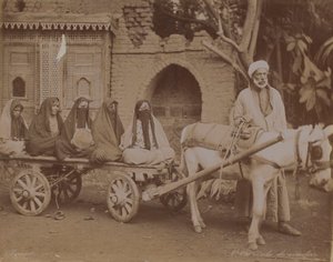 Lóvontatású szekér, Kairó, 1893 alkotó: English Photographer