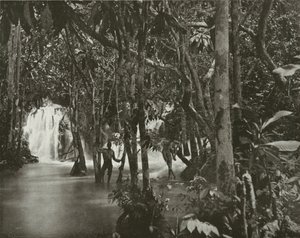 Jamaica: St Anns (fekete-fehér fotó) alkotó: English Photographer