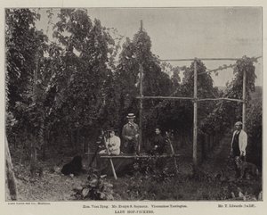 Lady Hop-Pickers alkotó: English Photographer