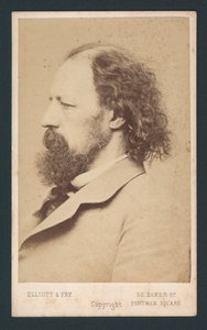 Lord Tennyson, névjegykártya alkotó: English Photographer
