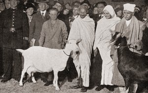 Mahatma Gandhi 1931-ben érkezik Londonba, az angliai tanítványával, Madeleine Slade-del és két kecskéjével az 1935-ben megjelent The Story of Twenty Five Yearsből. alkotó: English Photographer