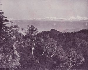 Mount Everest, Sandakphuból, Darjeelingből alkotó: English Photographer
