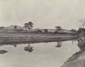 Nemengha állomás alkotó: English Photographer