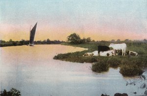 A Bure alkotó: English Photographer